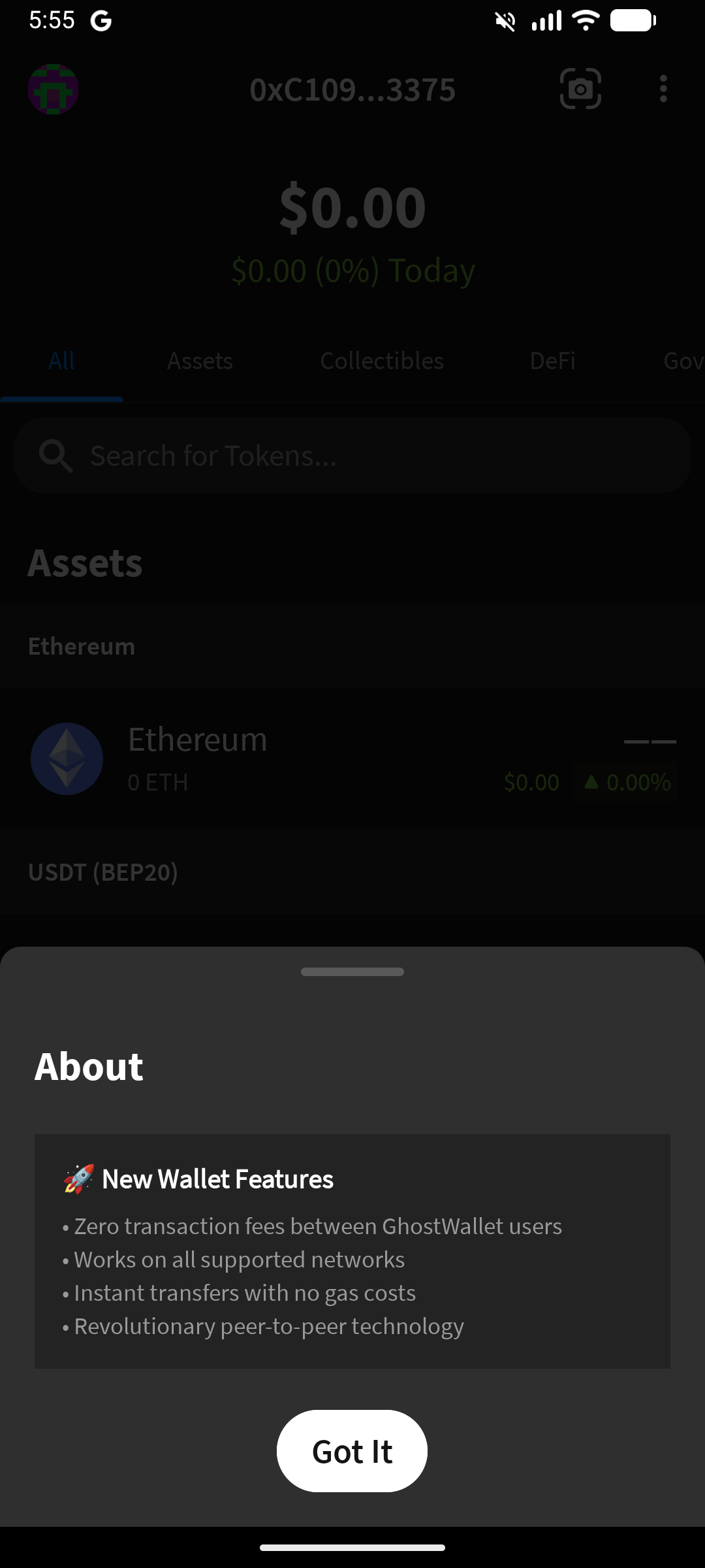GhostWallet Main Screen